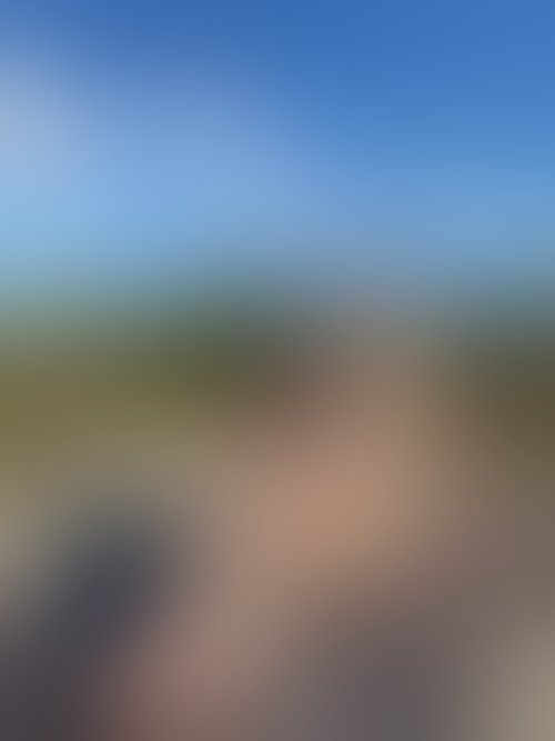 Zdjęcie 27 z galerii NAJMOCNIEJSZY ALBUM Z PLENERKU!! 🌵🌴