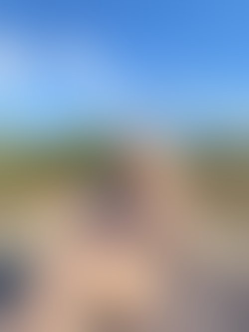 Zdjęcie 21 z galerii NAJMOCNIEJSZY ALBUM Z PLENERKU!! 🌵🌴