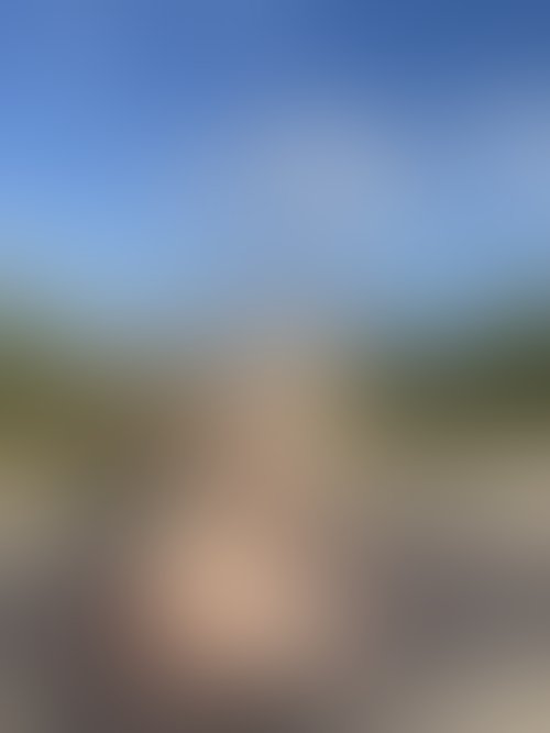 Zdjęcie 8 z galerii NAJMOCNIEJSZY ALBUM Z PLENERKU!! 🌵🌴