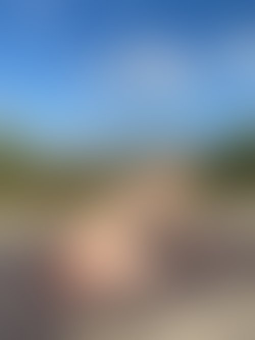 Zdjęcie 45 z galerii NAJMOCNIEJSZY ALBUM Z PLENERKU!! 🌵🌴