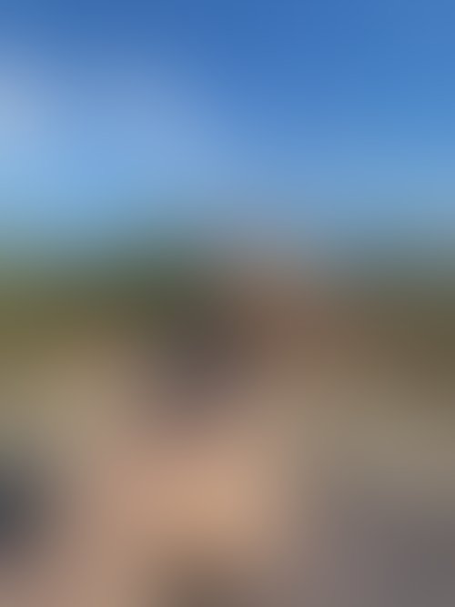 Zdjęcie 29 z galerii NAJMOCNIEJSZY ALBUM Z PLENERKU!! 🌵🌴