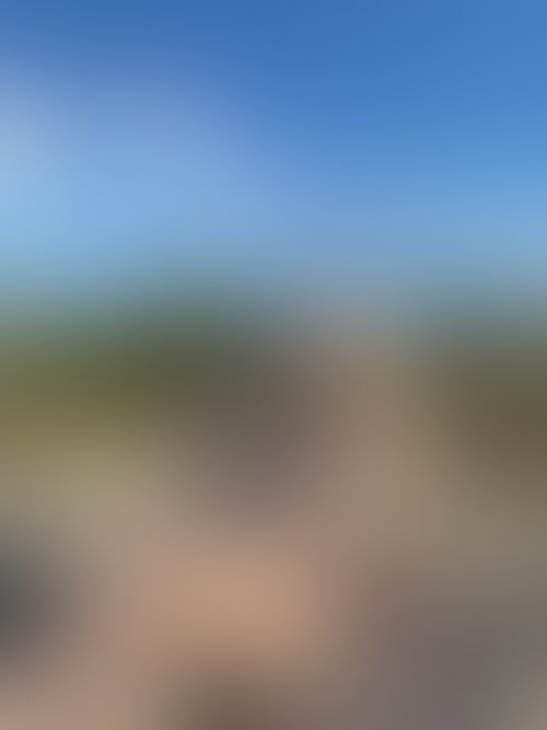 Zdjęcie 34 z galerii NAJMOCNIEJSZY ALBUM Z PLENERKU!! 🌵🌴