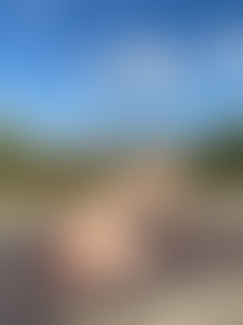 Zdjęcie 42 z galerii NAJMOCNIEJSZY ALBUM Z PLENERKU!! 🌵🌴