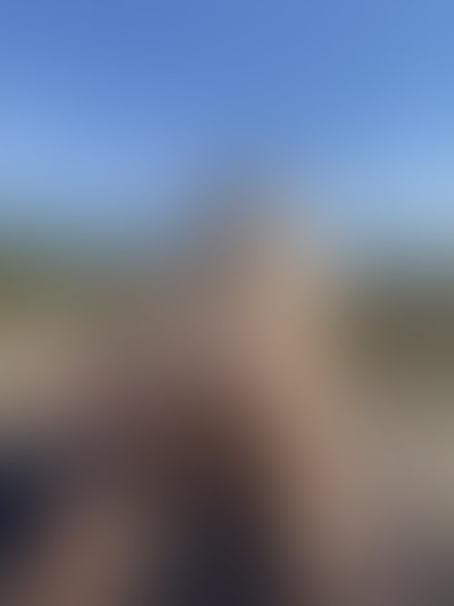 Zdjęcie 18 z galerii NAJMOCNIEJSZY ALBUM Z PLENERKU!! 🌵🌴