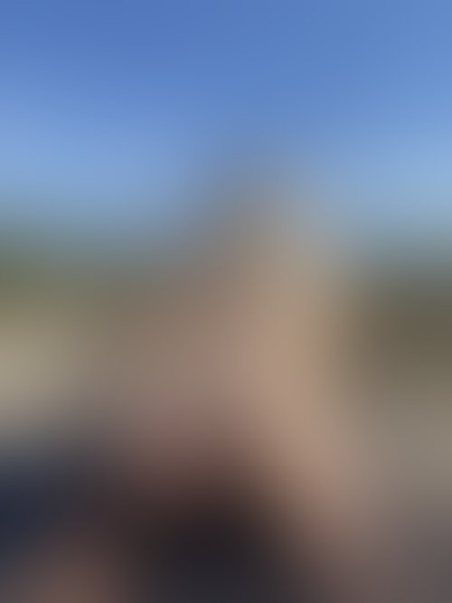 Zdjęcie 17 z galerii NAJMOCNIEJSZY ALBUM Z PLENERKU!! 🌵🌴