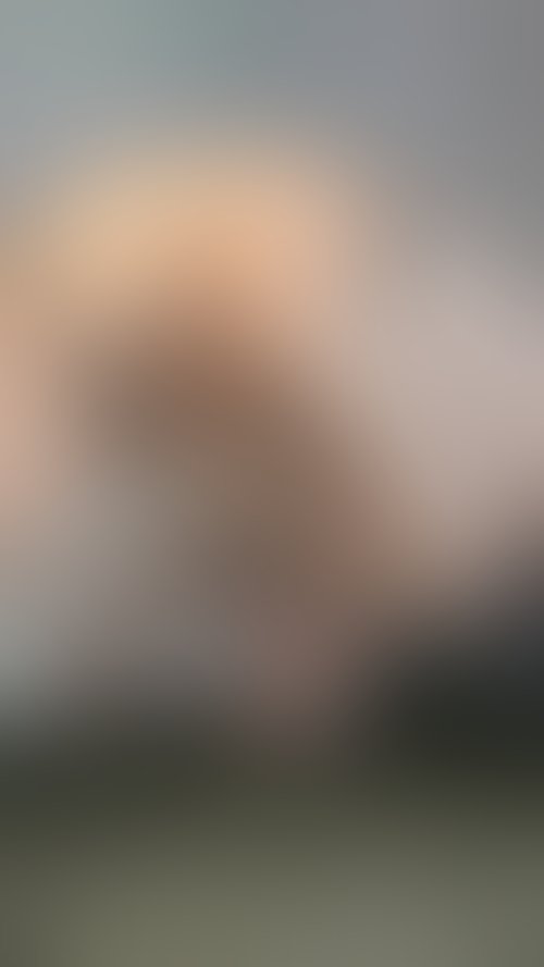 Zdjęcie 22 z galerii Rucham się czarnym dildo i nie tylko😈 (w pupke też)
