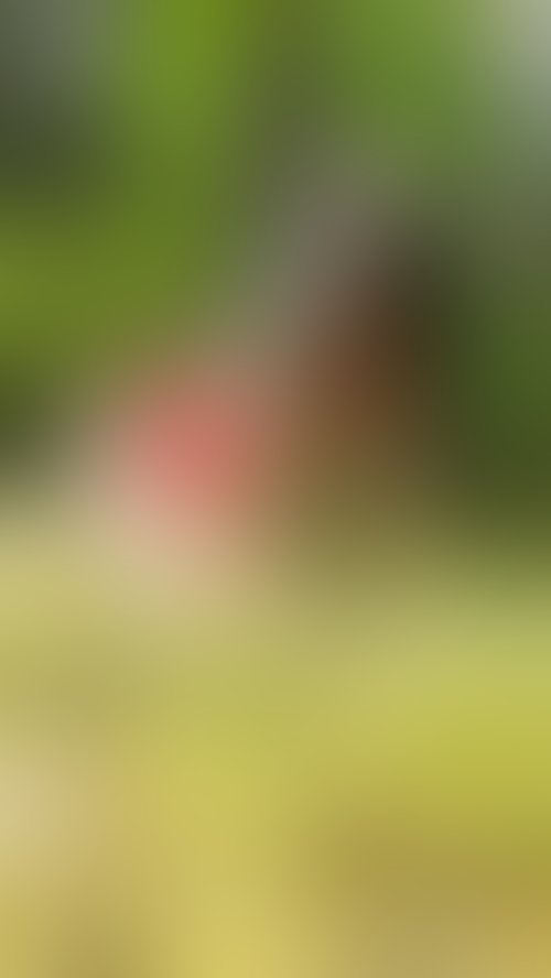 Zdjęcie 69 z galerii Bogini w stroikach🥵👑