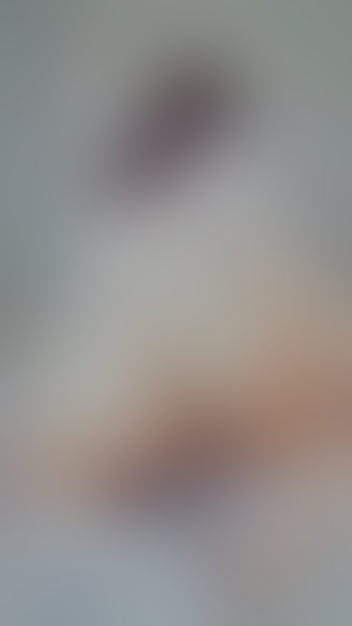 Zdjęcie 13 z galerii 🐳