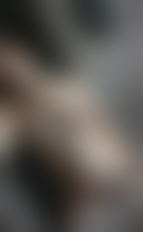 Zdjęcie 2 z galerii Boobies