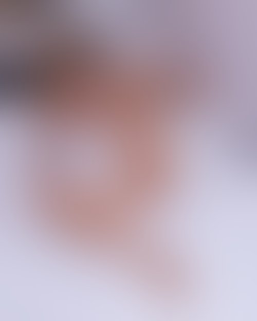 Zdjęcie 122 z galerii Mega Pack porno fabuły #1 140 min filmów, 200 zdjęć 😈😈🔥