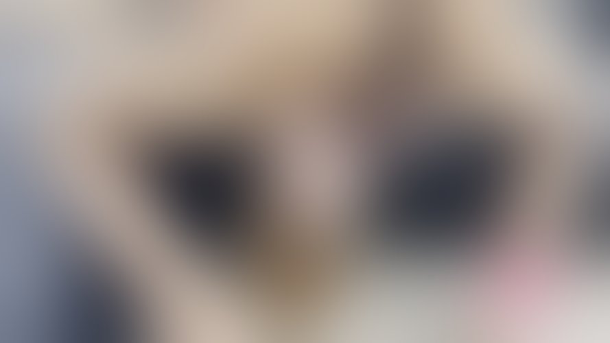 Zdjęcie 6 z galerii ❗️Ostro wyruchał moje gardło i spuścił się w mojej cipce! ❗️HARDCOROWY BJ ❗️CREAMPIE❗️