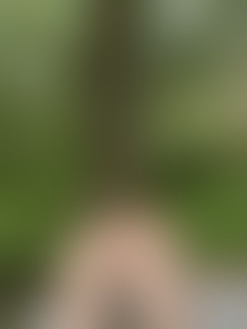 Zdjęcie 10 z galerii Nude of puplic