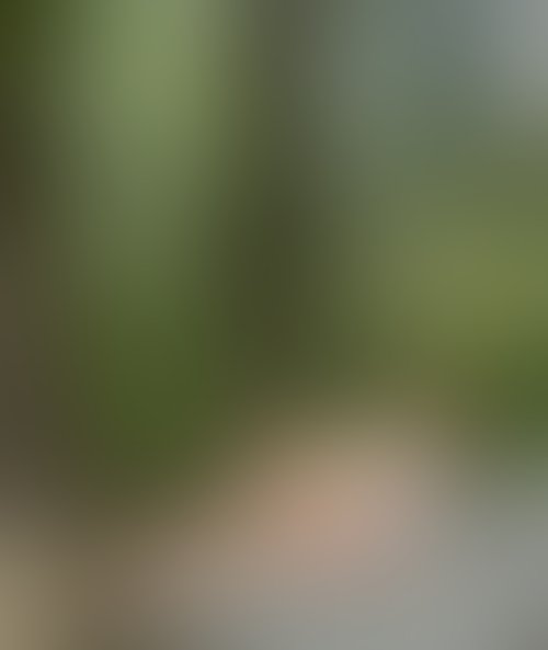 Zdjęcie 15 z galerii Nude of puplic