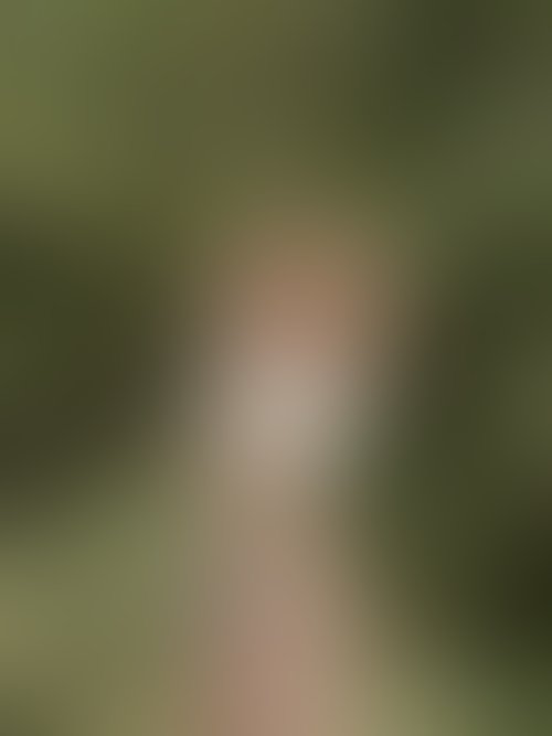 Zdjęcie 16 z galerii Nude of puplic